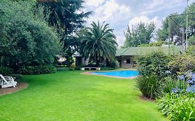 Big Tree Midrand